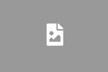 <?php the_title_attribute();?>